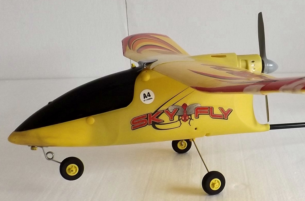 Radio control airplane EBTH