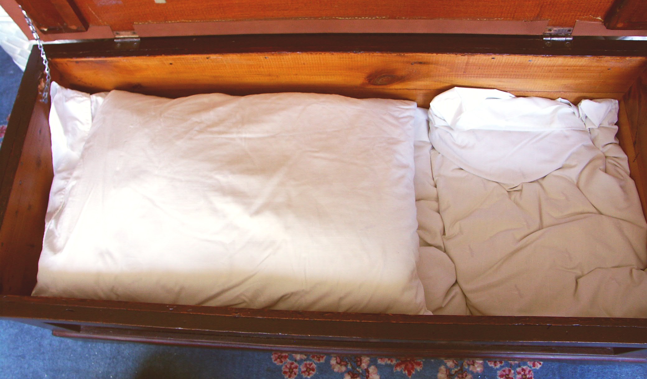 Blanket Chest and Pillows EBTH