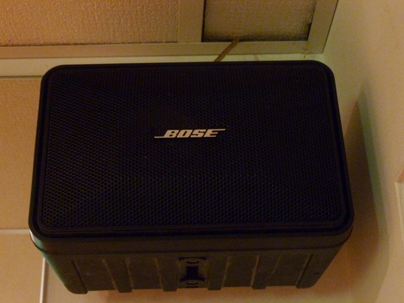 Pair Of Bose 101 Indoor Outdoor Speakers Ebth