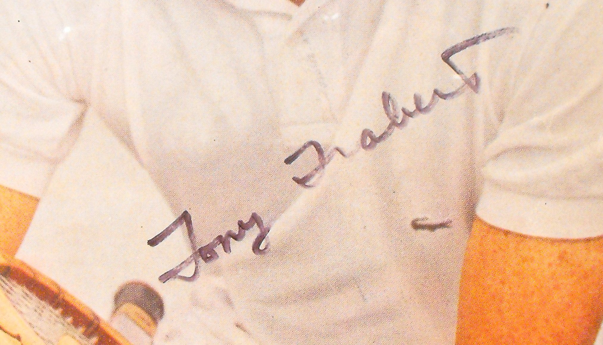 1955 Tony Trabert Tennis Star & University Of Cincinnati Star