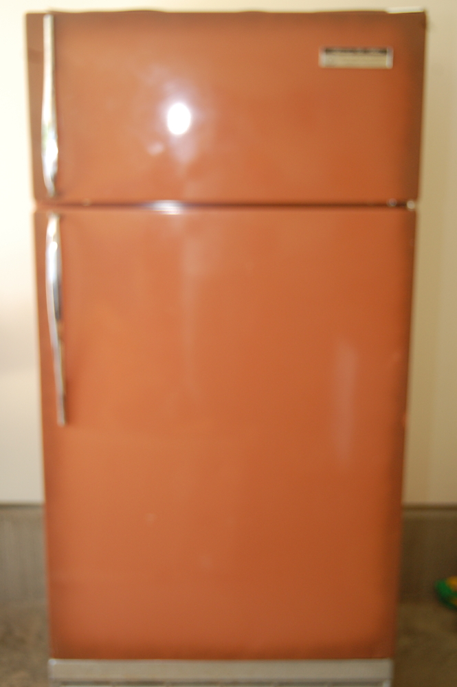 70's Sears Coldspot Refrigerator EBTH