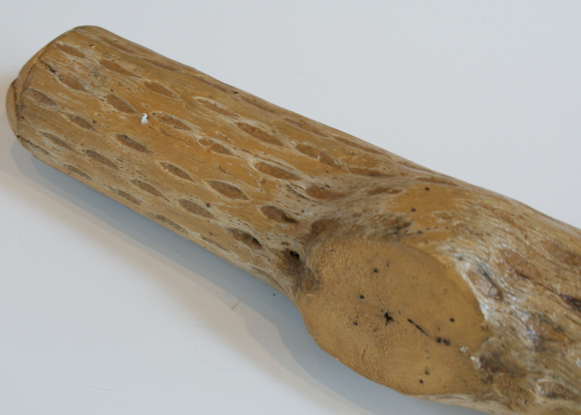 Replica Native American Rain stick EBTH