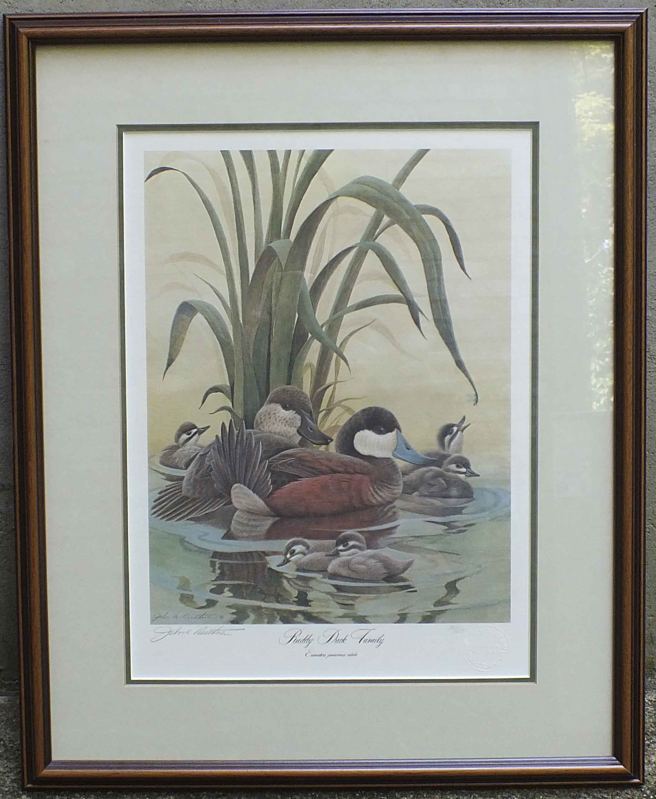 John Ruthven Signed and Numbered "Ruddy Duck Family" Print EBTH