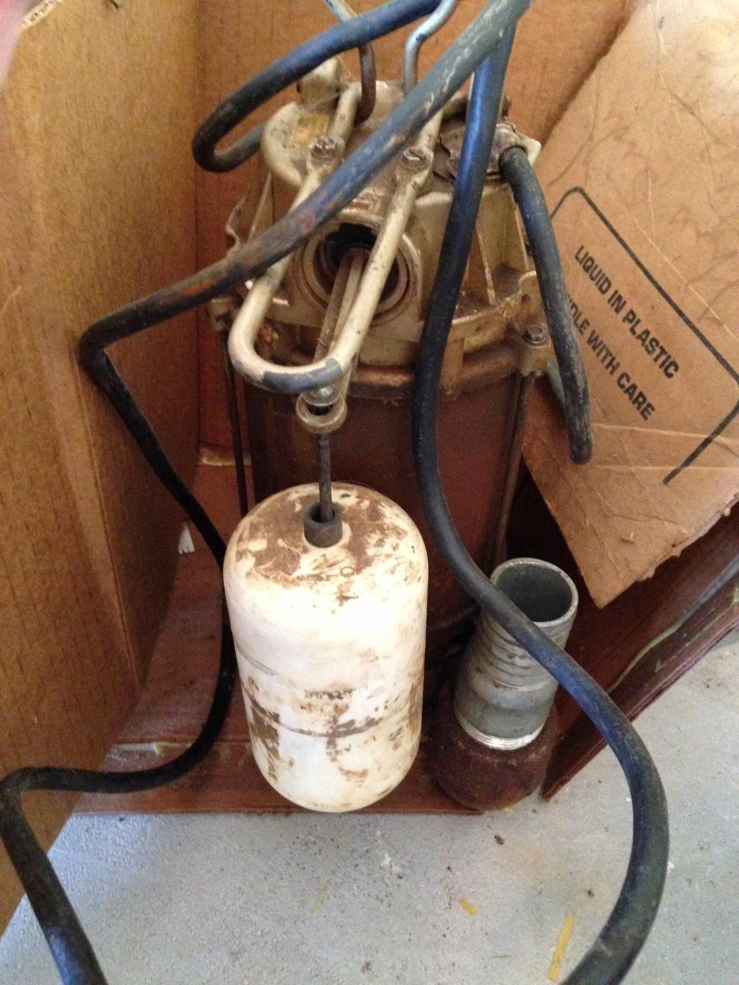 Vintage Wayne Sump Pump EBTH