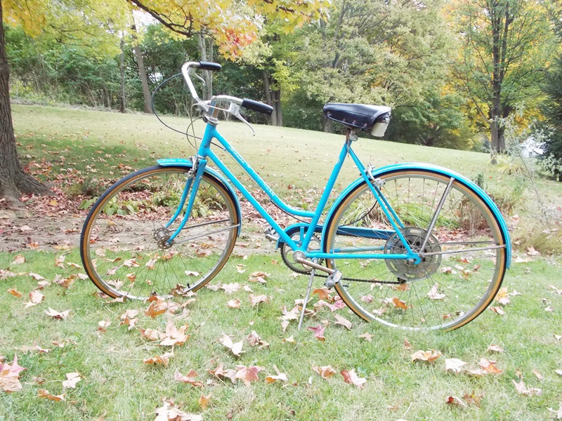 schwinn suburban vintage
