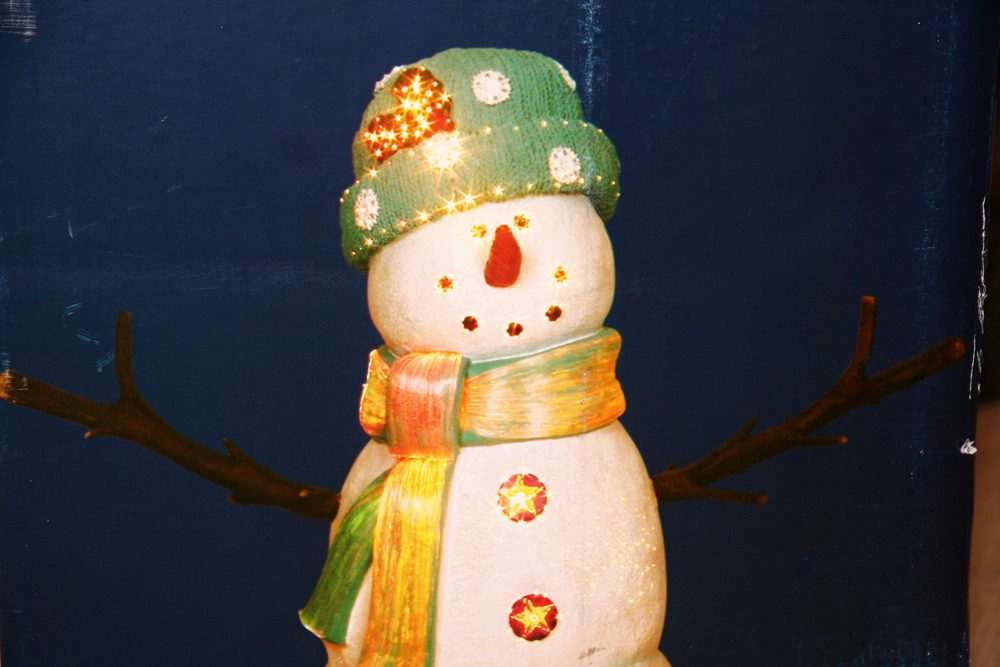 Fiber Optic Snowman EBTH