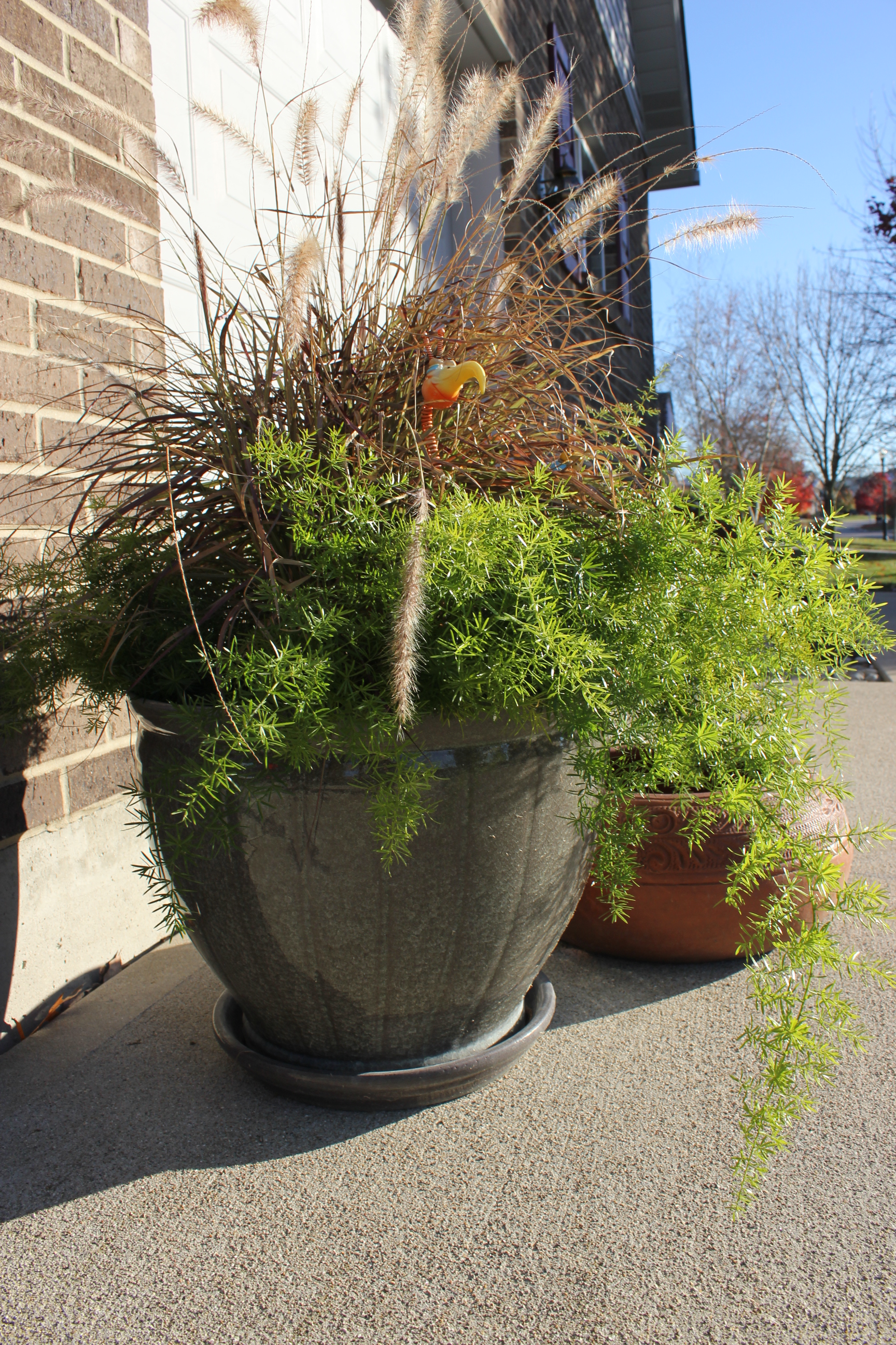 Glazed Ceramic Planter & Terra Cotta Garden Hose Pot EBTH