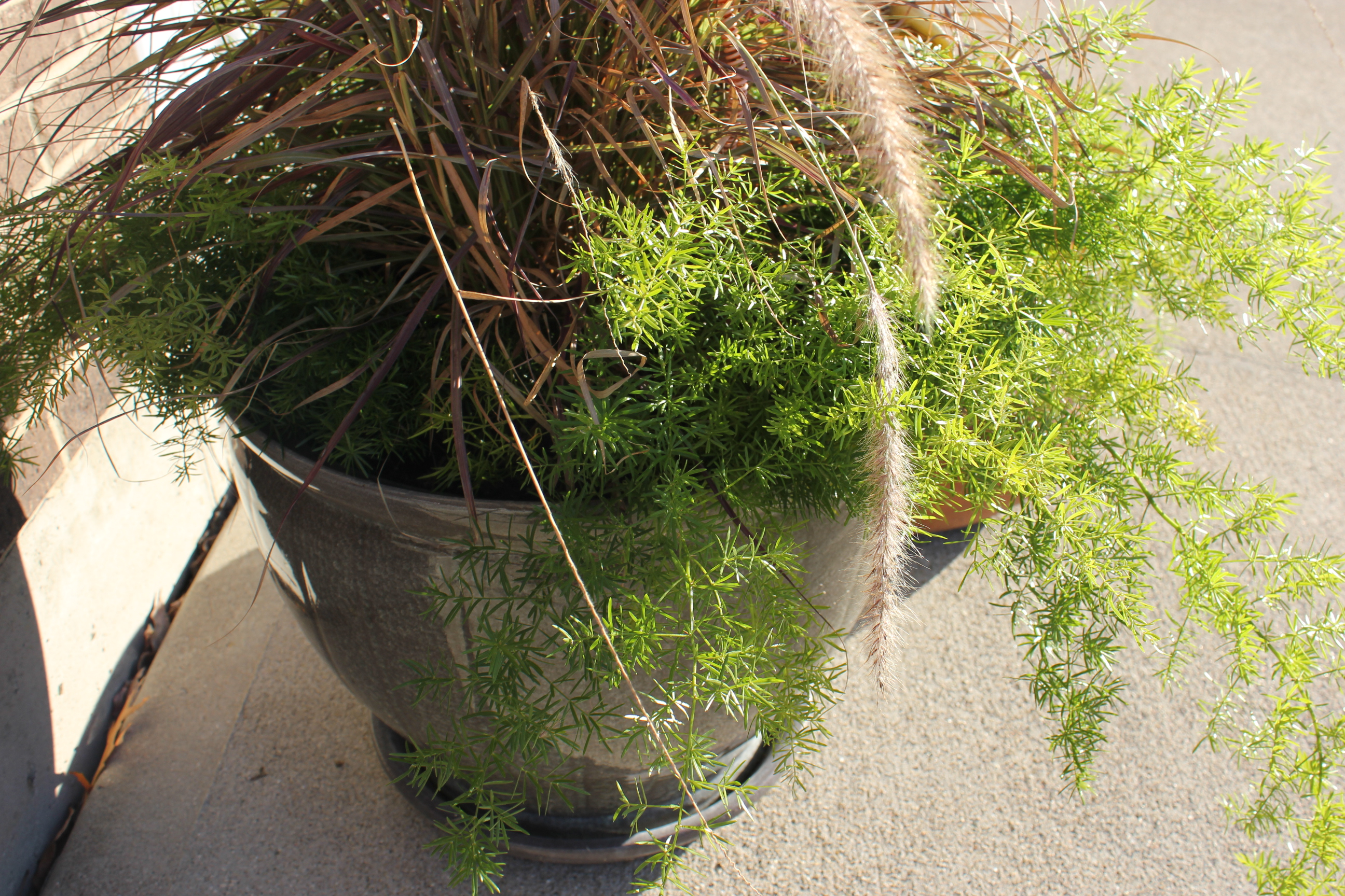 Glazed Ceramic Planter & Terra Cotta Garden Hose Pot EBTH