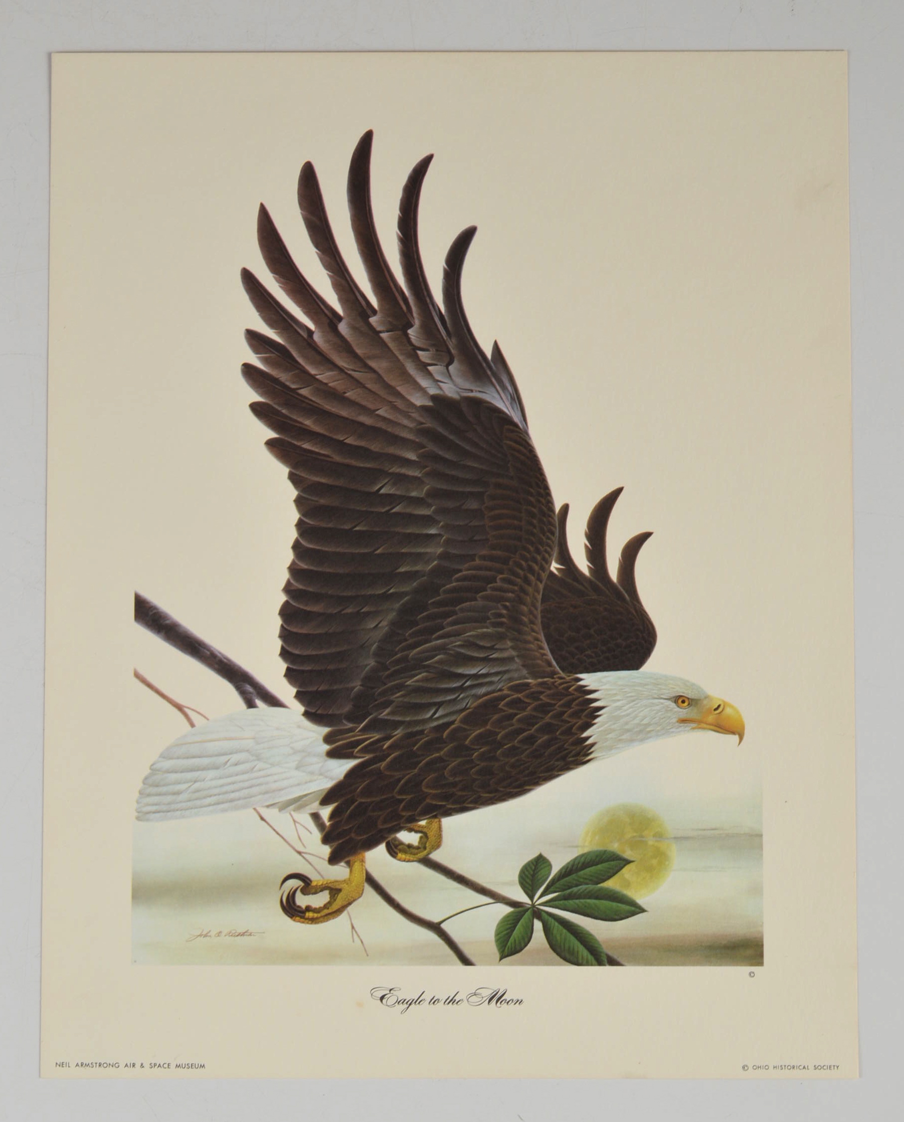 John Ruthven Prints Titled 