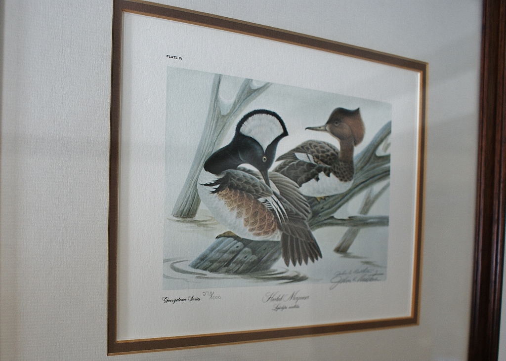 Pair of John A. Ruthven Signed Limited Edition Bird Prints EBTH