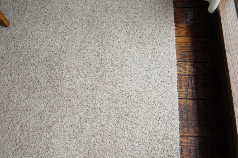 California Berber Cream Area Rug EBTH