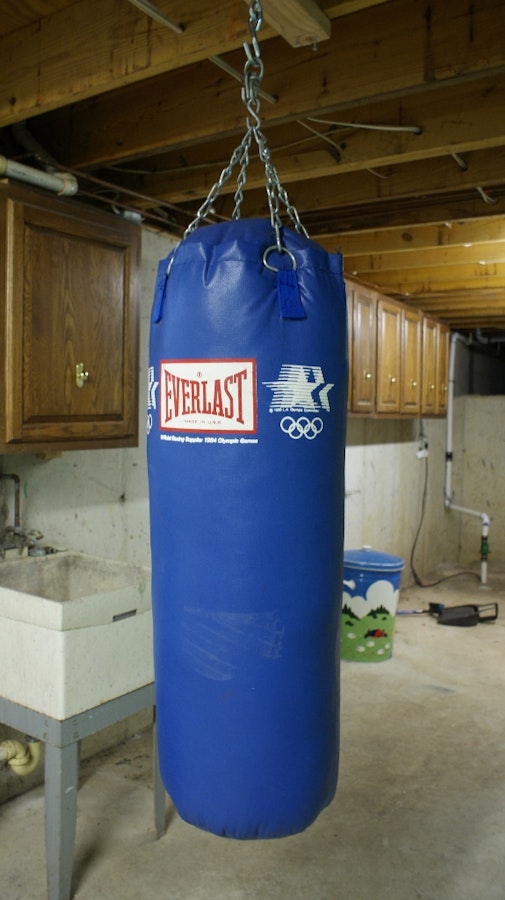 50-Pound Everlast Punching Bag : EBTH