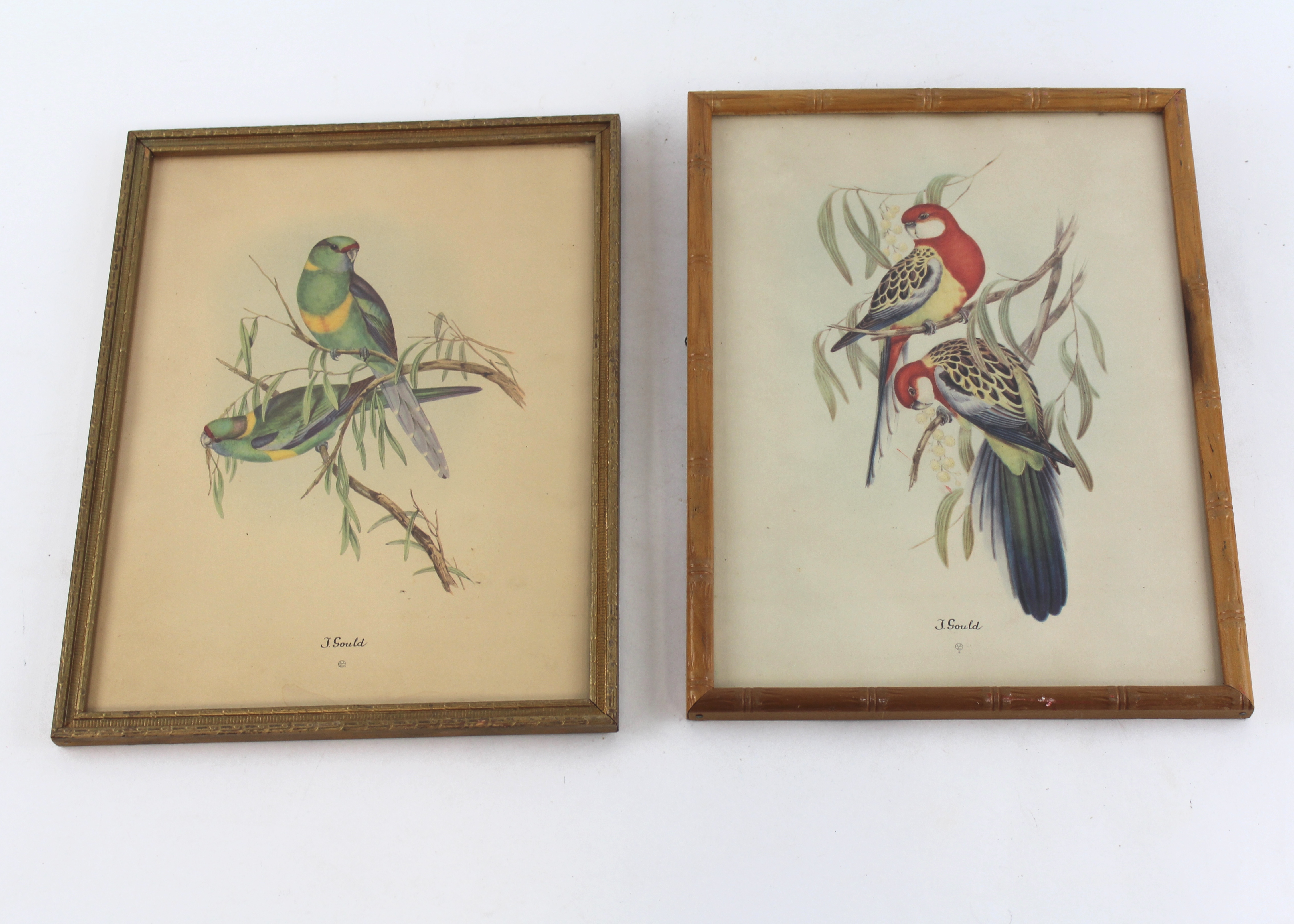Framed Bird Prints EBTH