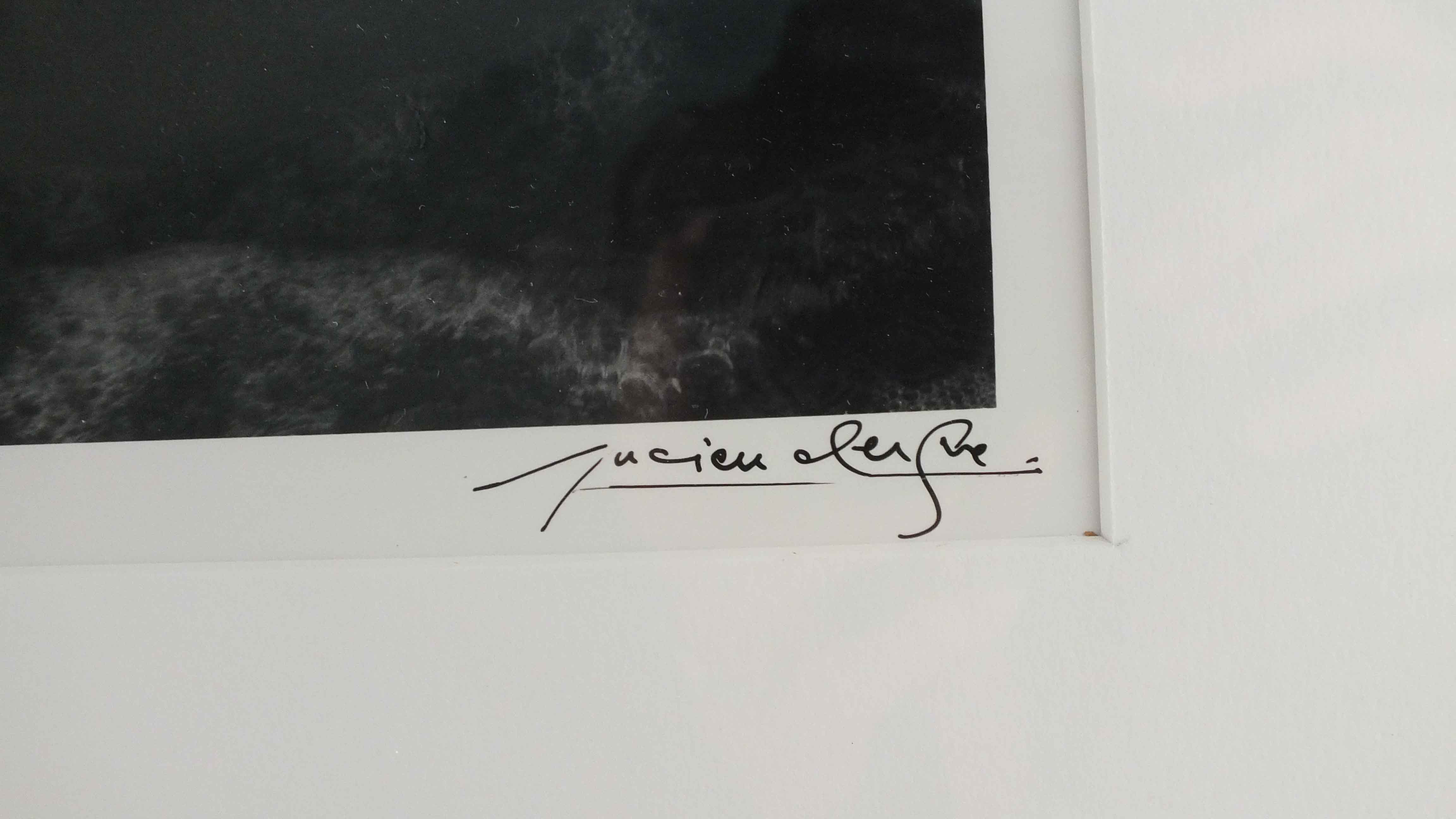 Lucien Clergue Nude Photographic Print EBTH