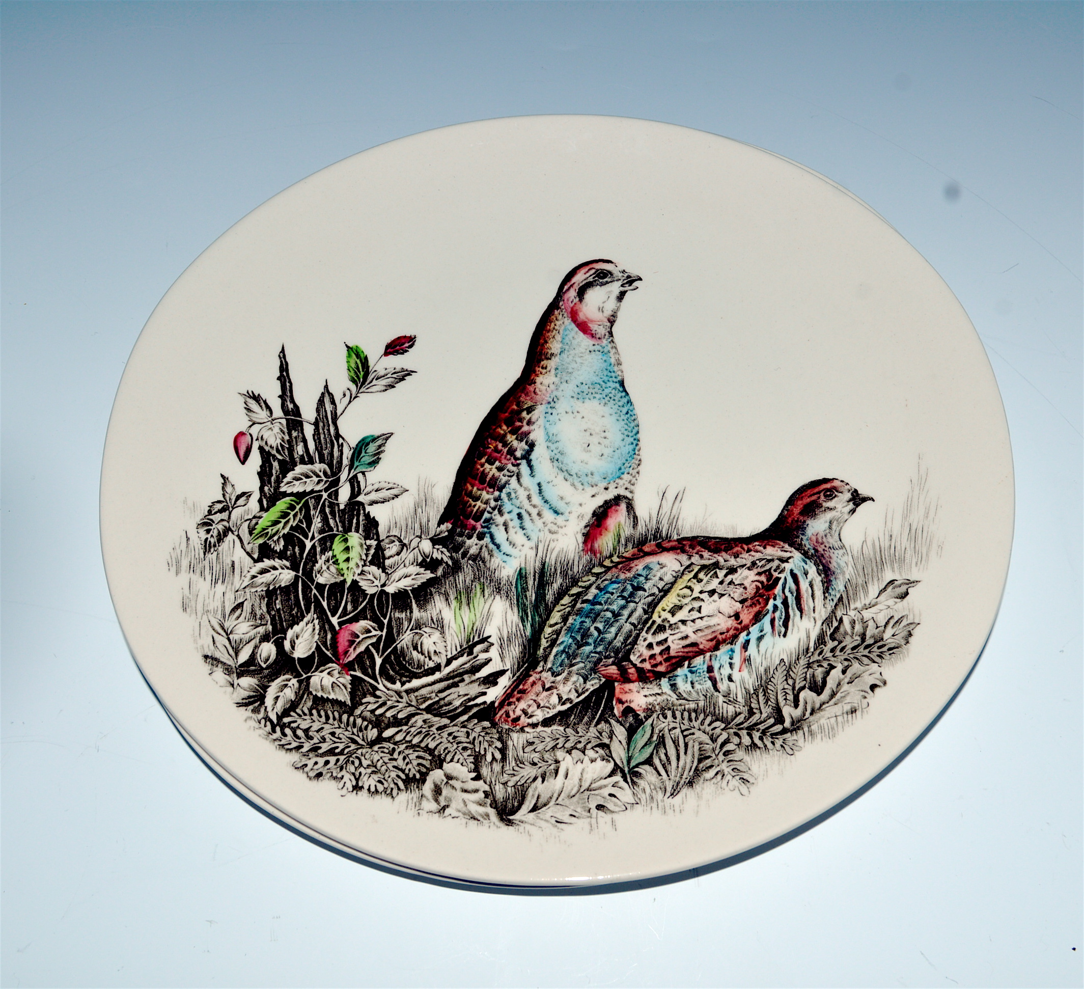 Johnson Brothers Game Bird Plates EBTH