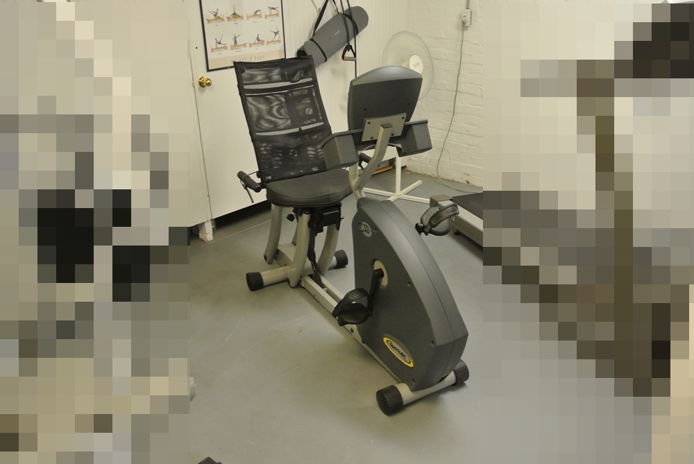 sportsart recumbent bike c52r