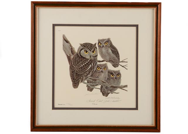 Pencil Signed and Numbered "Screech Owl" John Ruthven Print EBTH