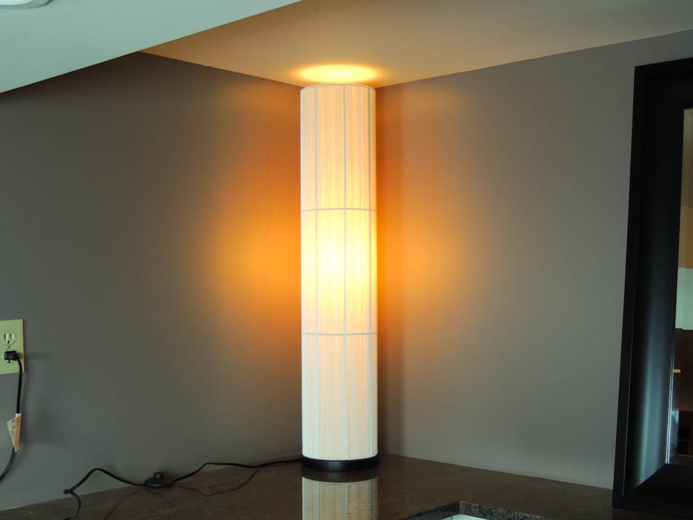 Crate Barrel Violin Floor Lamp