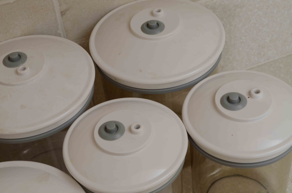 Snail Storage Containers EBTH