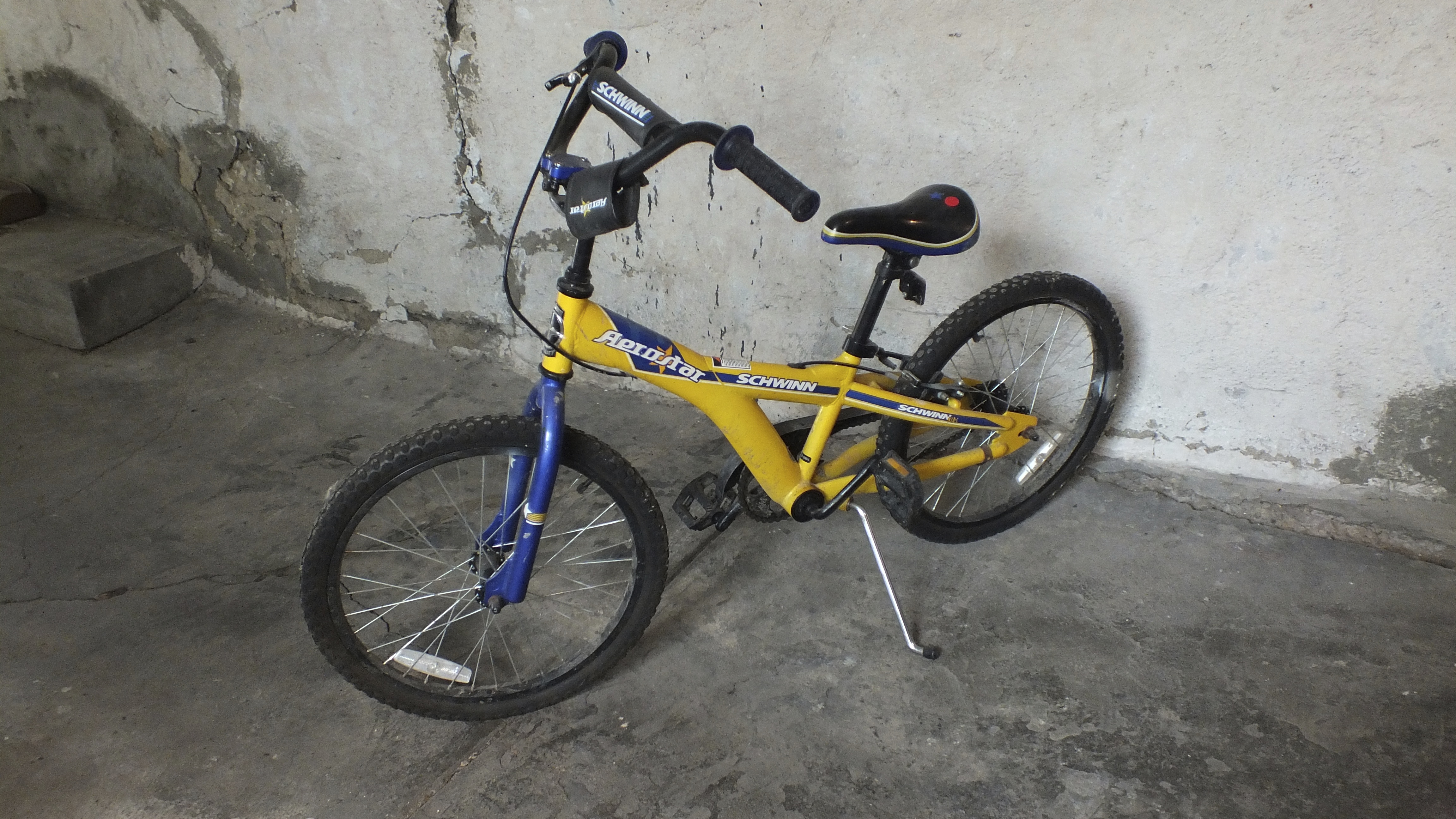 schwinn aerostar