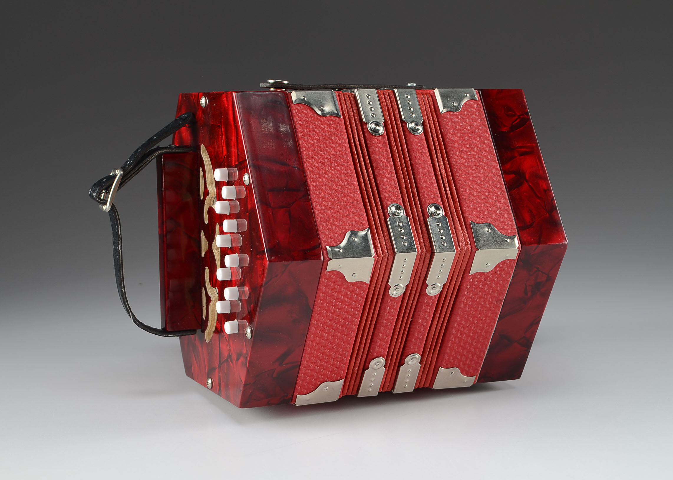 A 20Button Concertina Squeeze Box EBTH