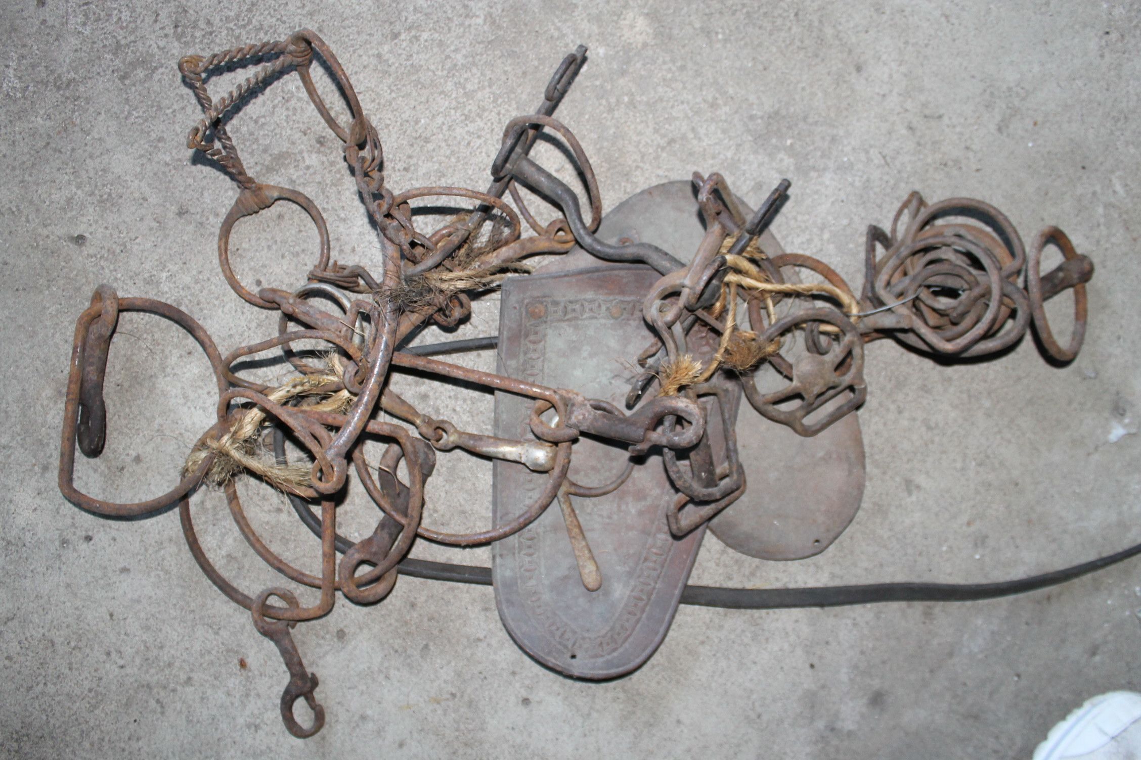 Horse Tack Clean Out Lot EBTH