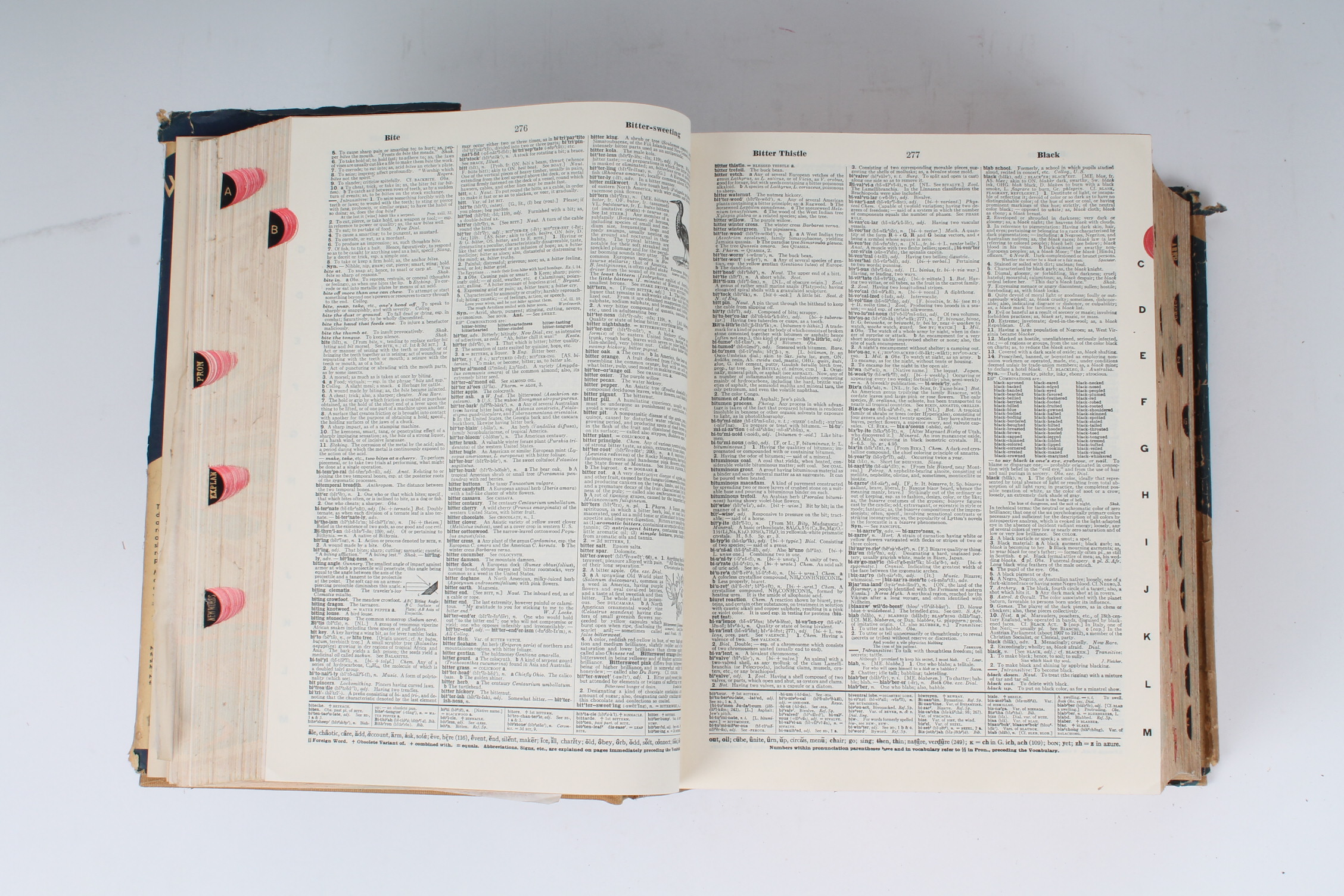 Second Edition Unabridged 1943 "New Merriamster's Dictionary" EBTH