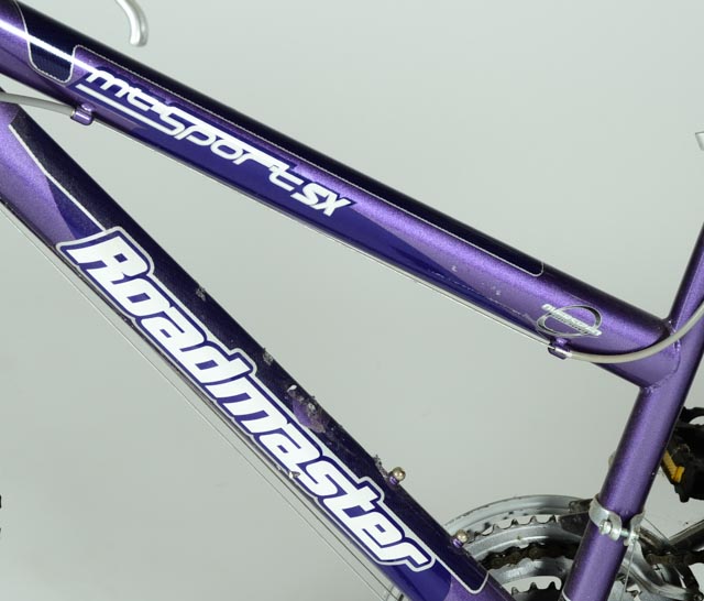 raleigh c200 cross sport