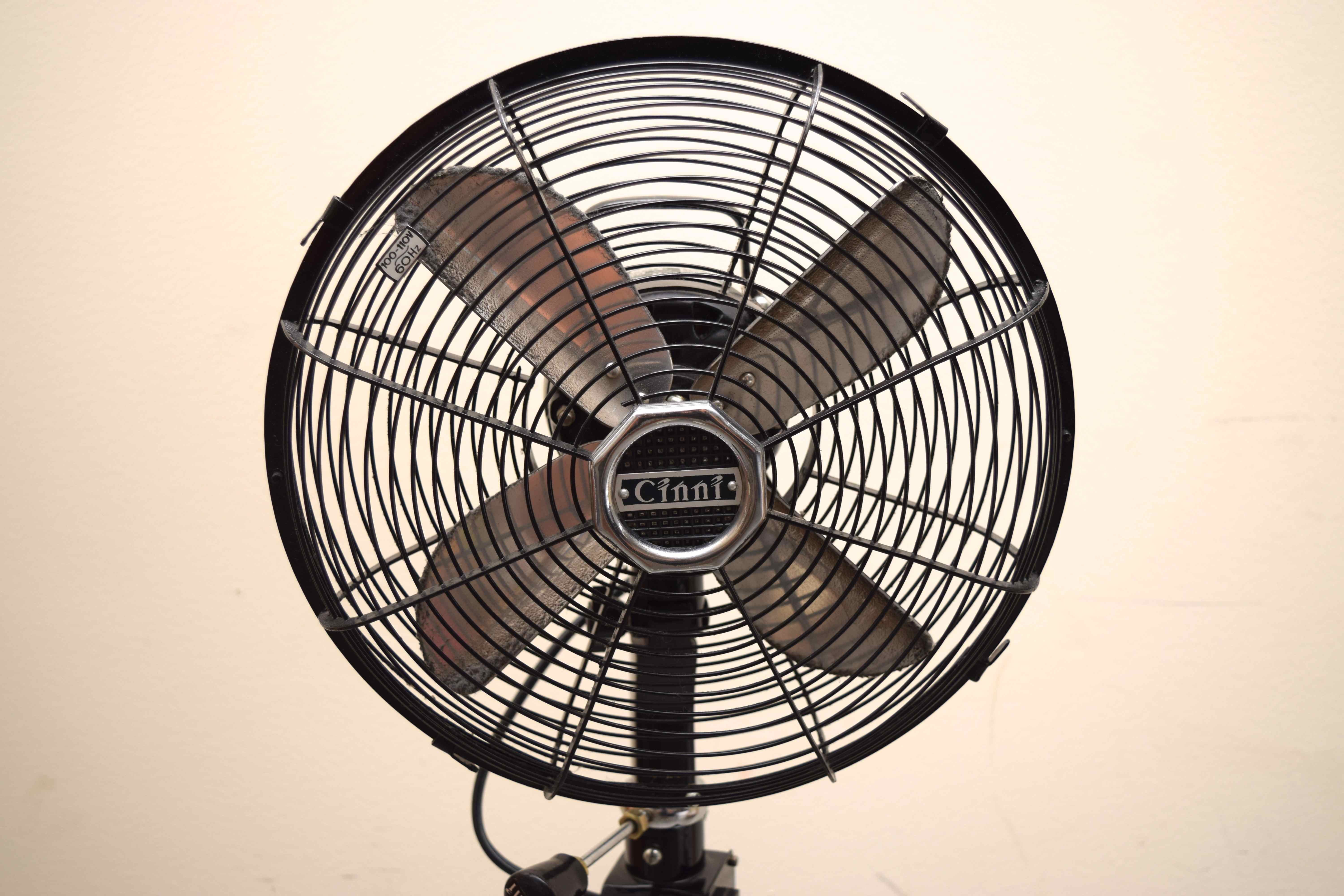 Cinni Black Fan on Stand EBTH