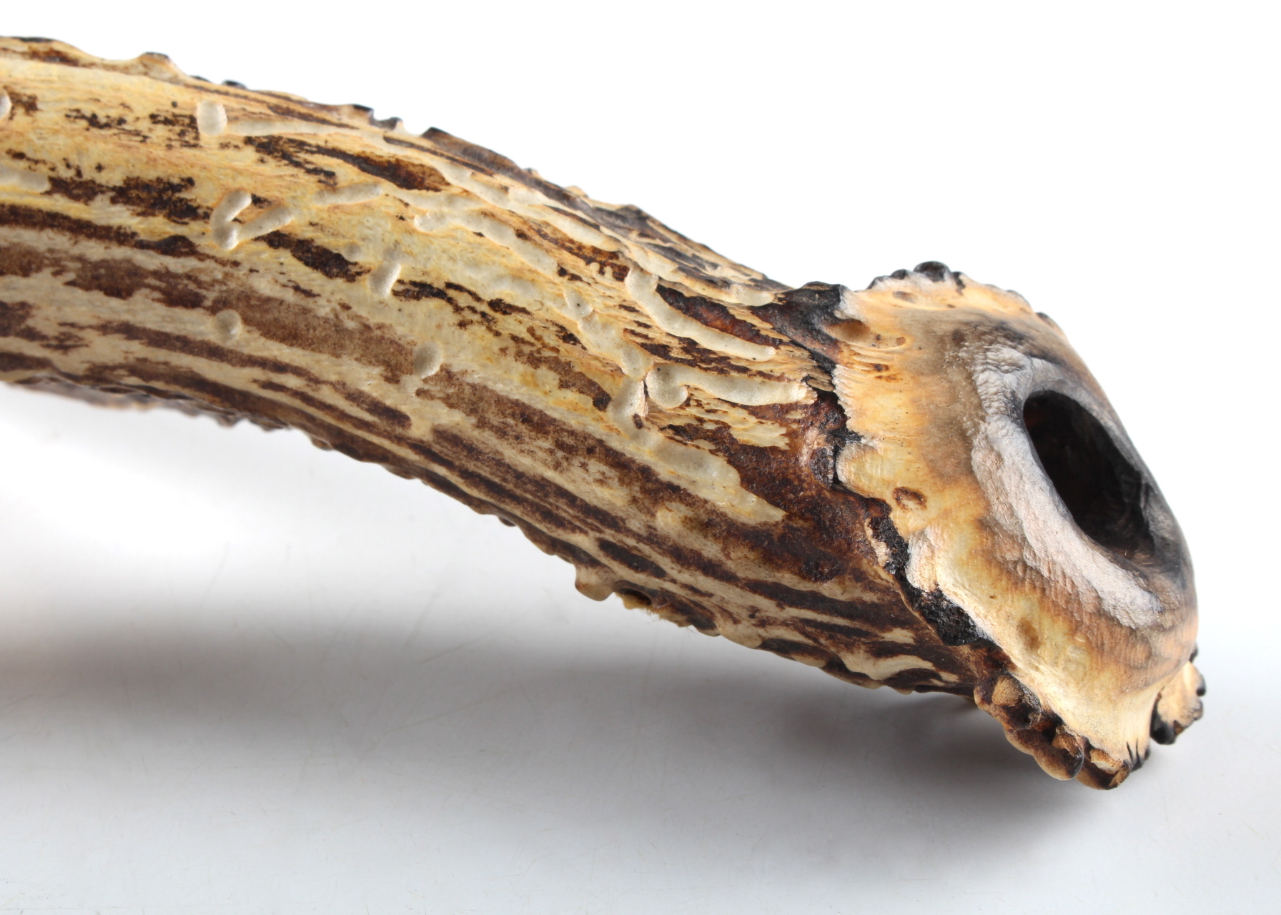 A Deer Antler Pipe EBTH