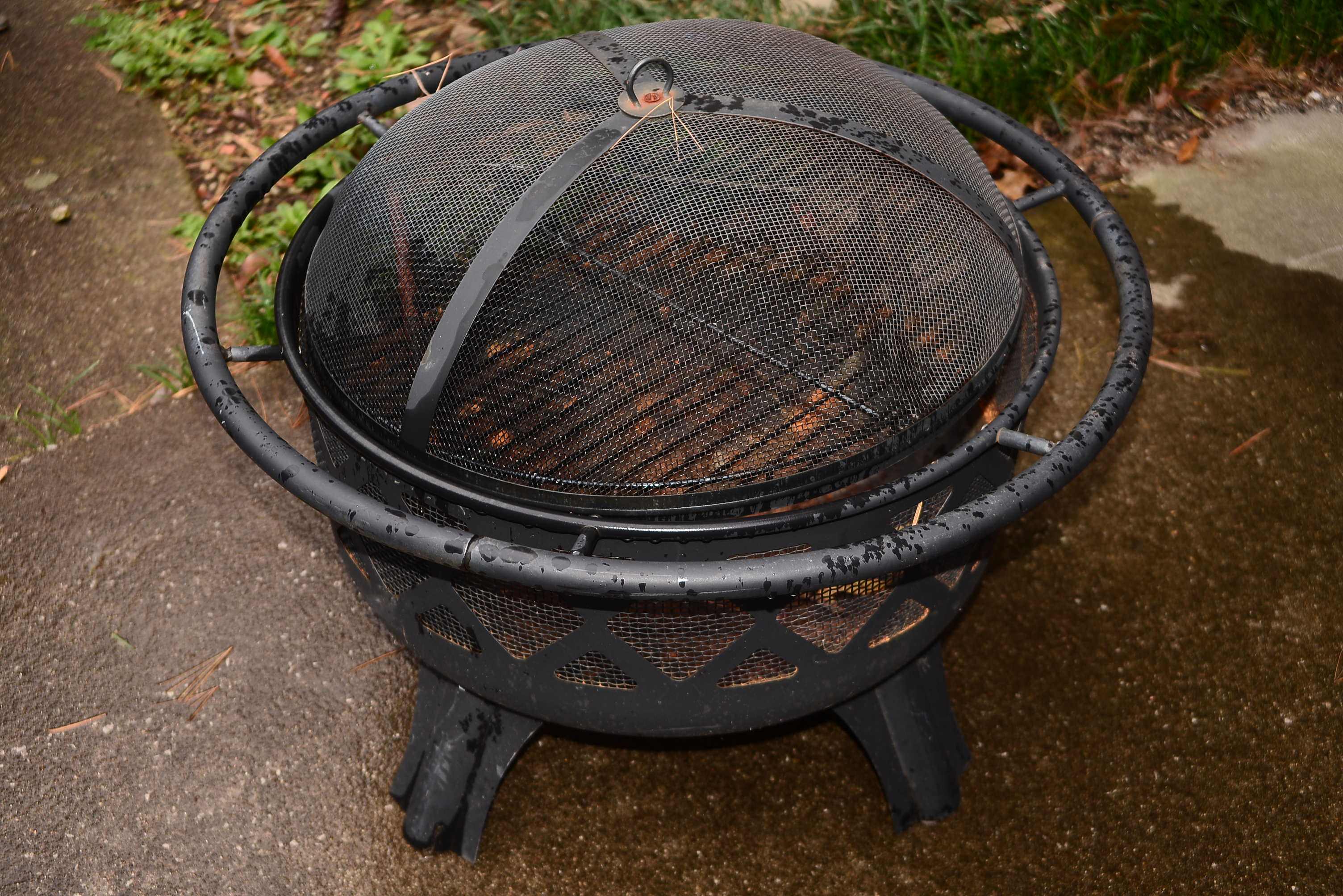 Black Metal Fire Pit with Screen Dome EBTH