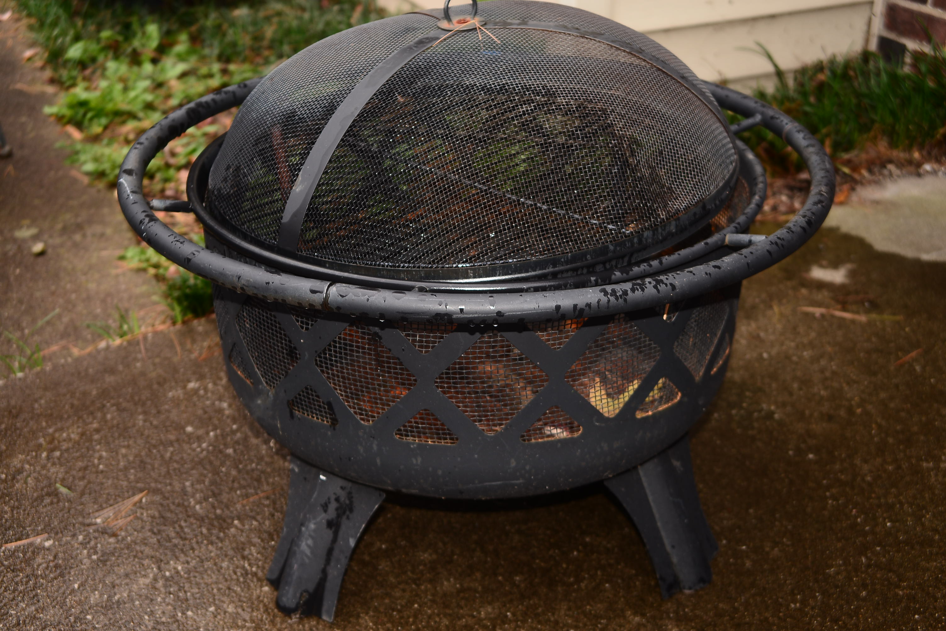 Black Metal Fire Pit with Screen Dome EBTH