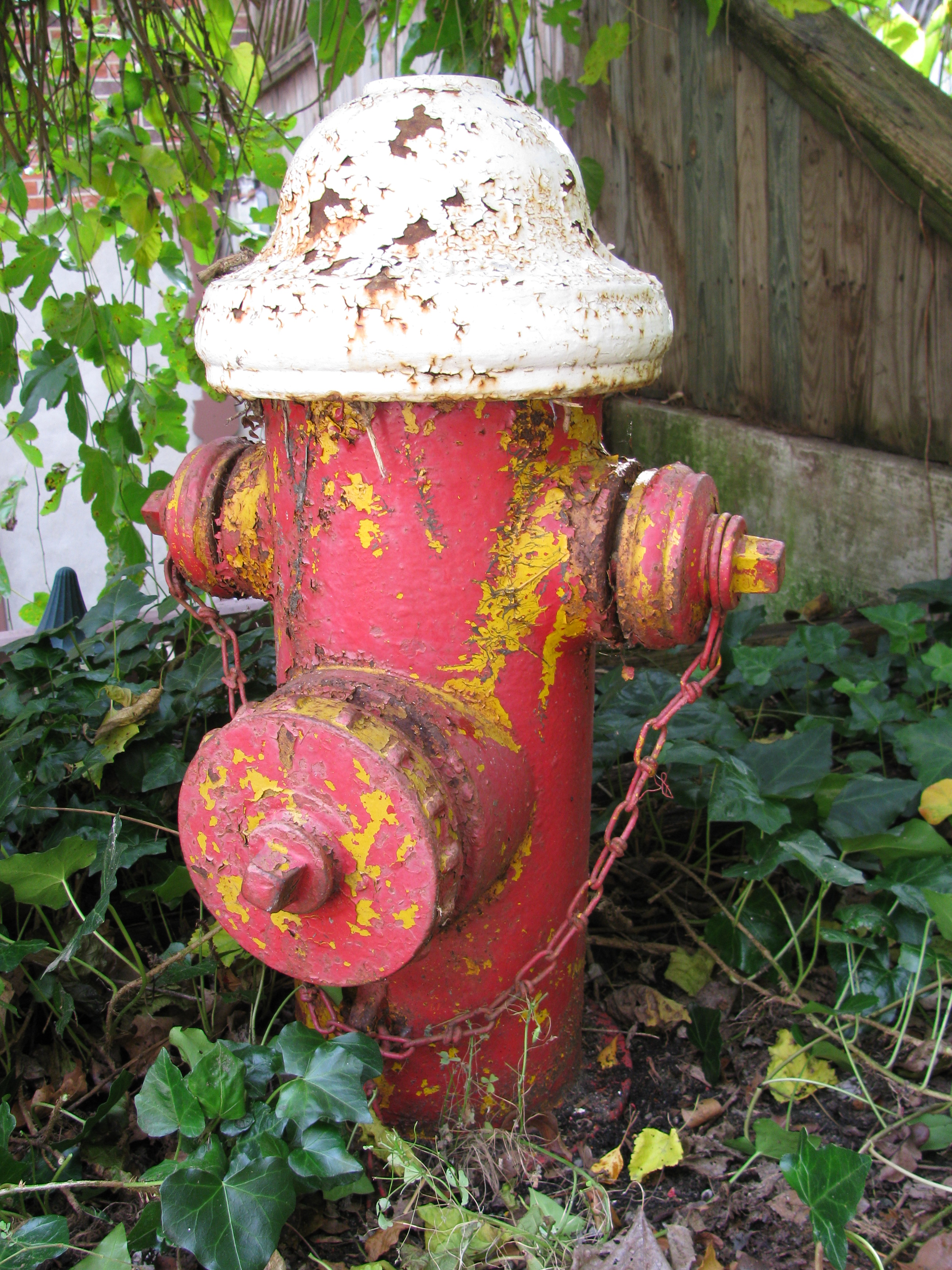 Antique Fire Hydrant EBTH