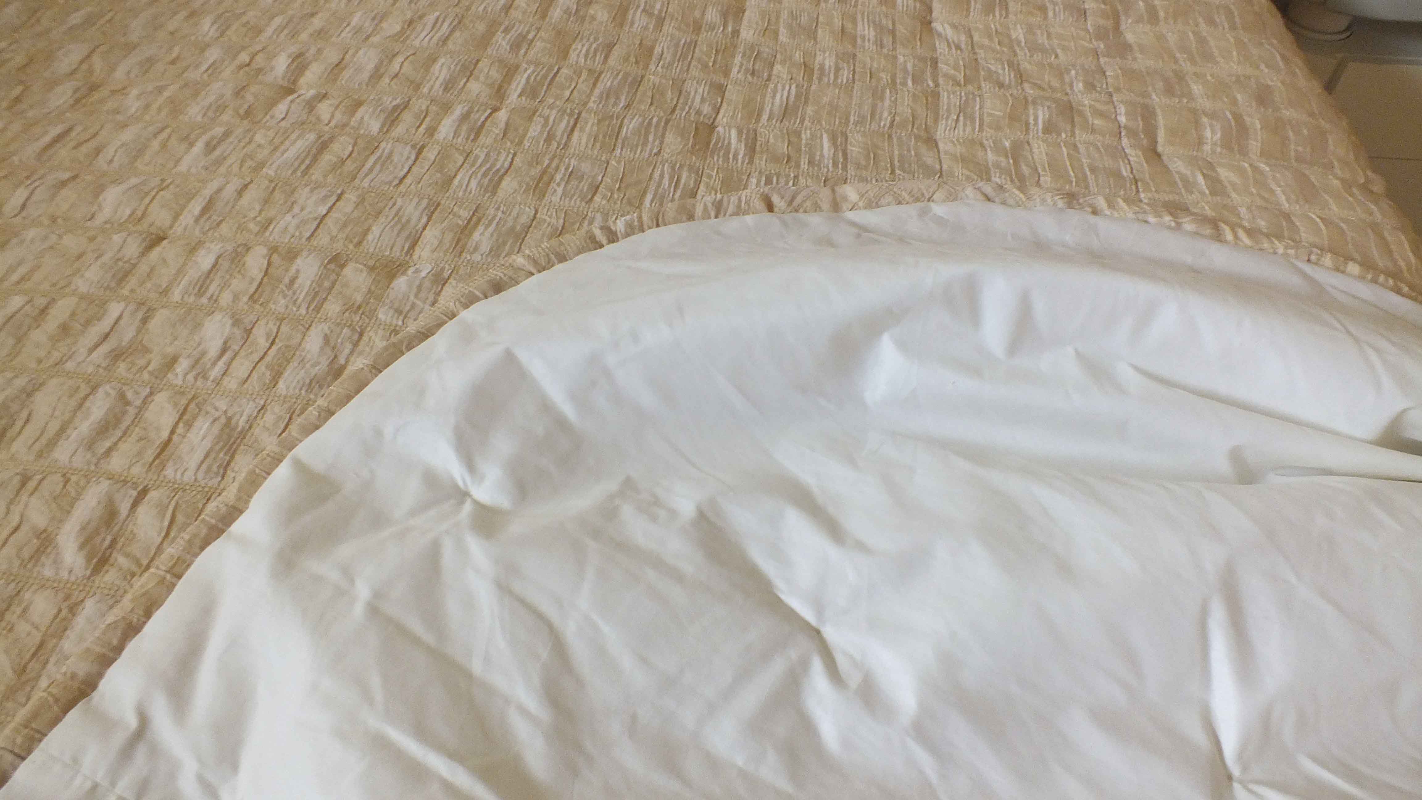 Legett Platt Adjustable King Size Bed System and Dormia Mattress EBTH