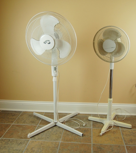 Two Oscillating Floor Fans Ebth