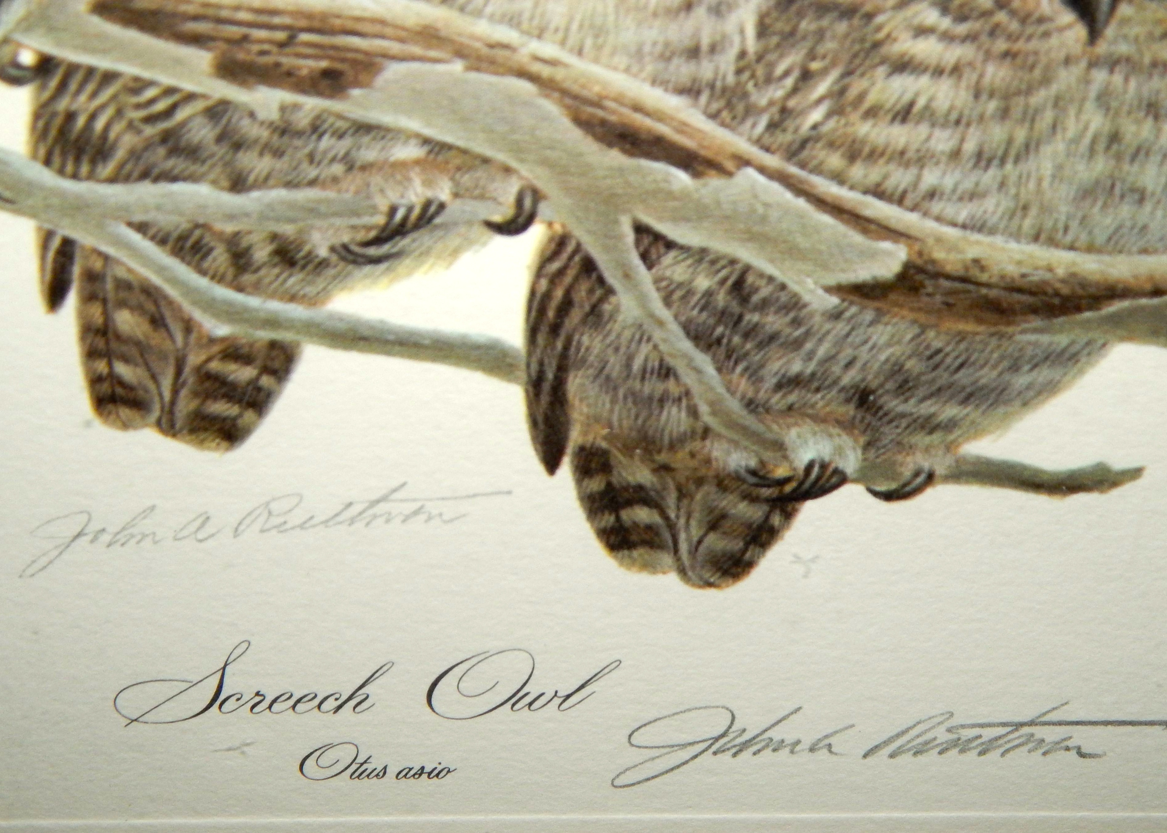 Lithographic Print "Screech Owls" by John Ruthven EBTH