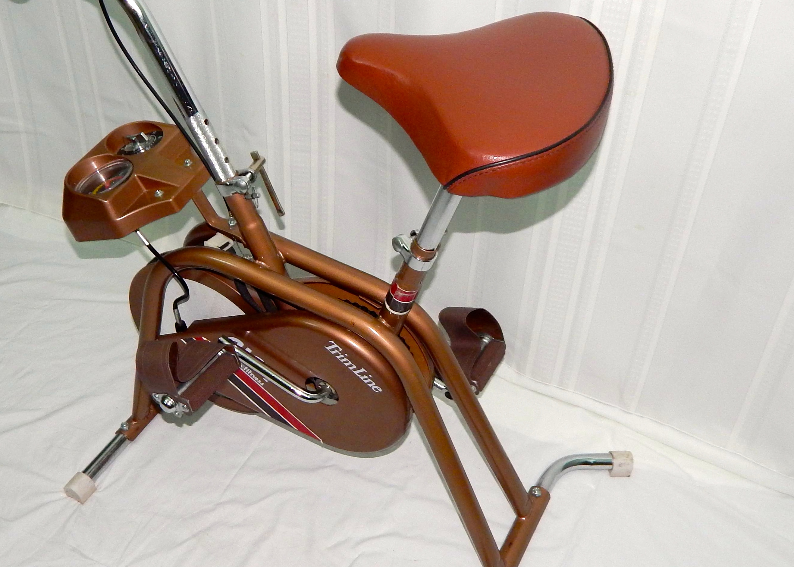 ajay fun and fitness exercise bike