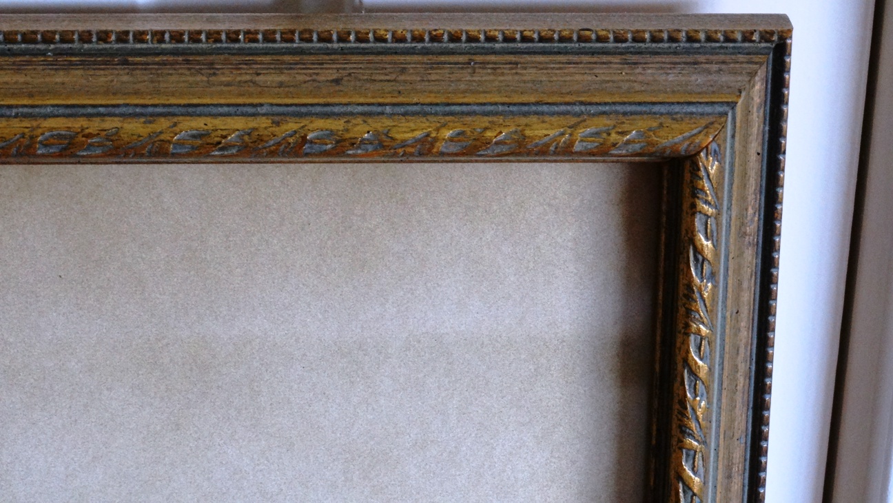 Bombay Company Framed Botanical Prints EBTH