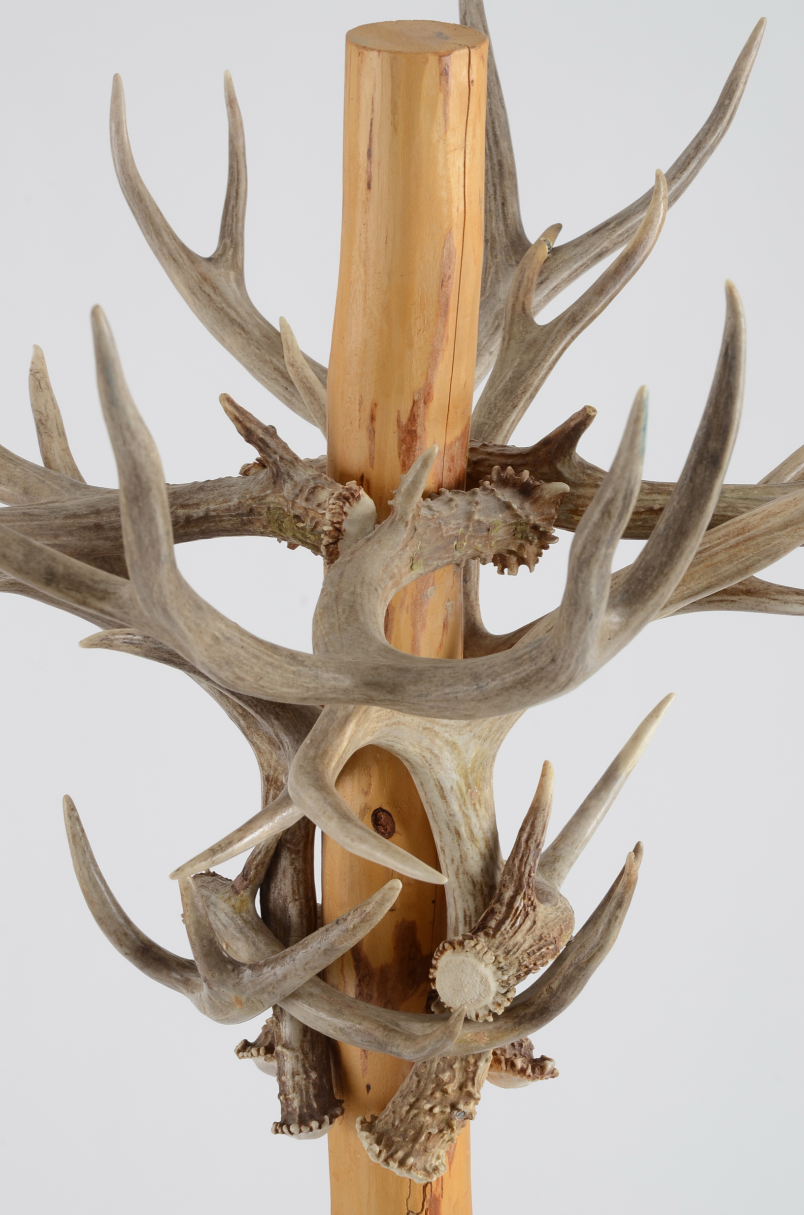 Antler Standing Coat and Hat Rack EBTH