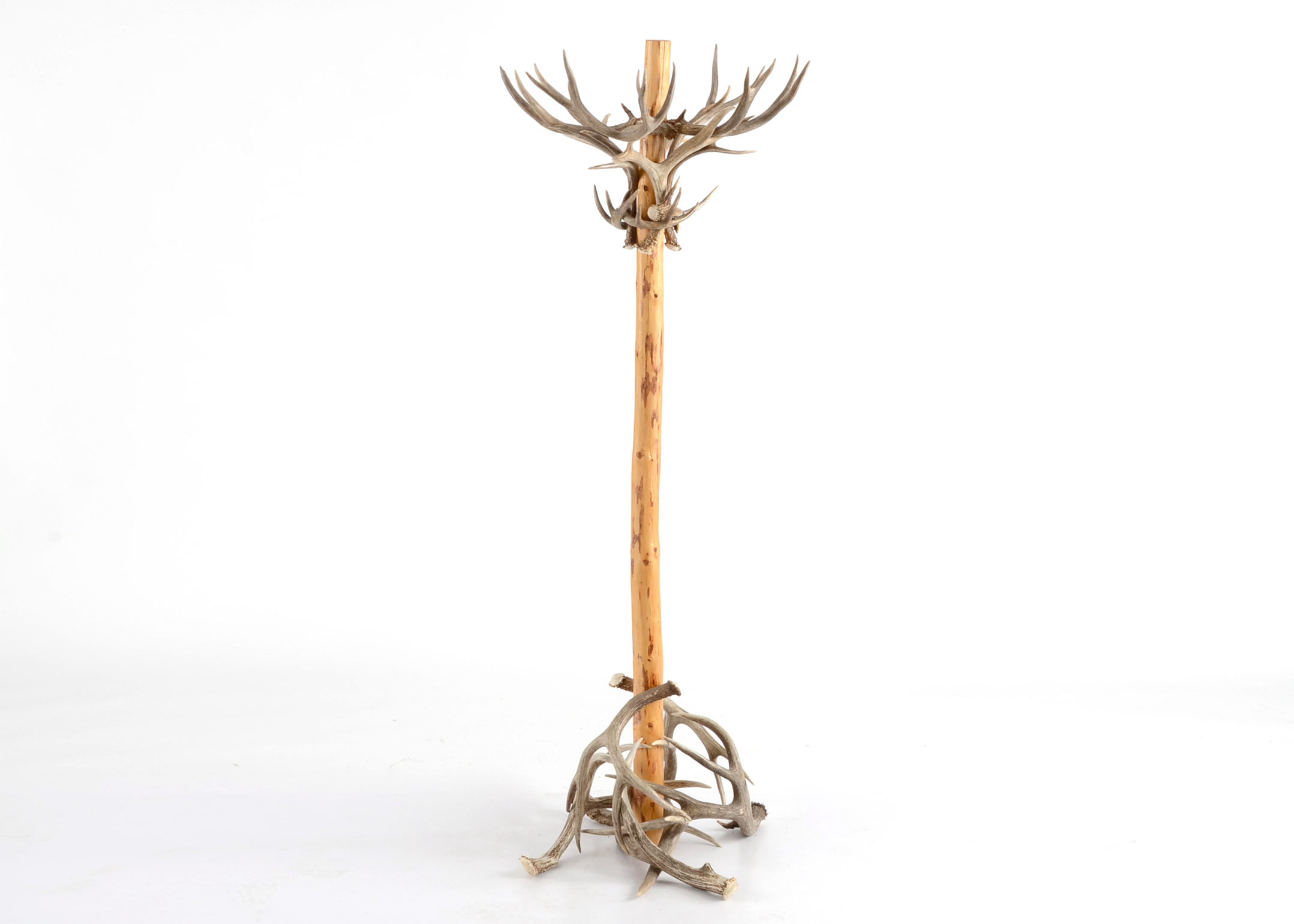 Find Out 25+ Facts On Antler Hat Rack People to Tell You