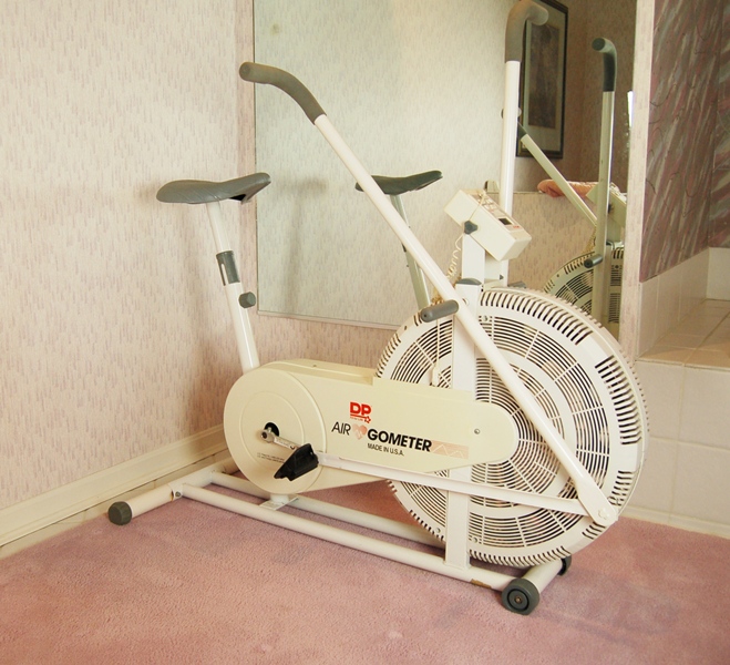 cruiser motorcycle for short person