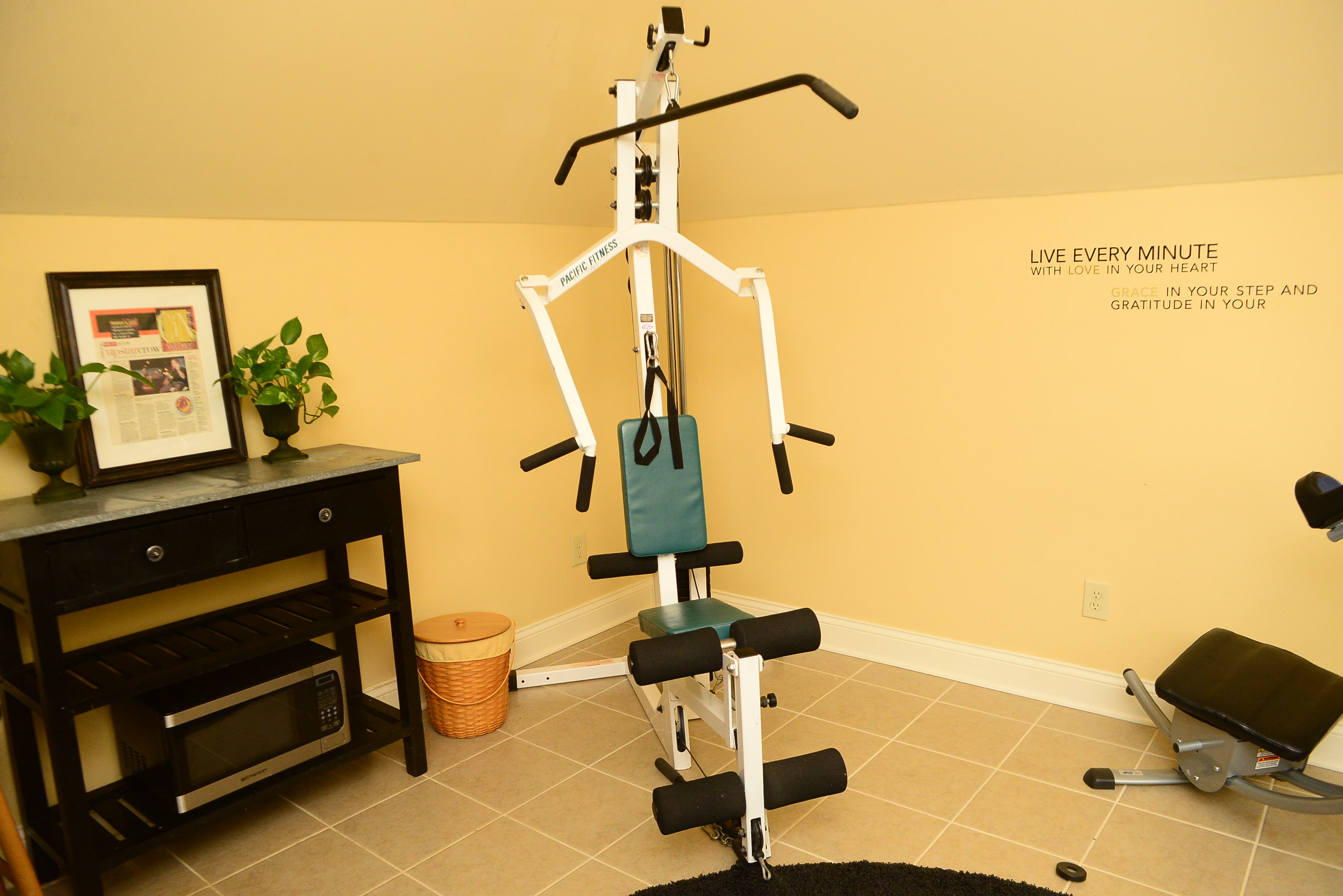 Pacific Fitness Zuma Home Gym EBTH