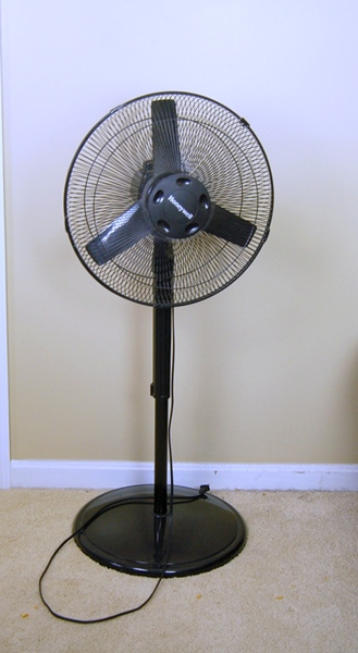 Honeywell Oscillating Stand Fan | EBTH