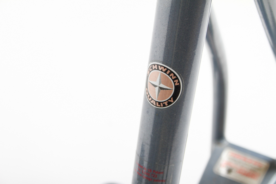 Schwinn DX900 Stationary Exercise Bike EBTH