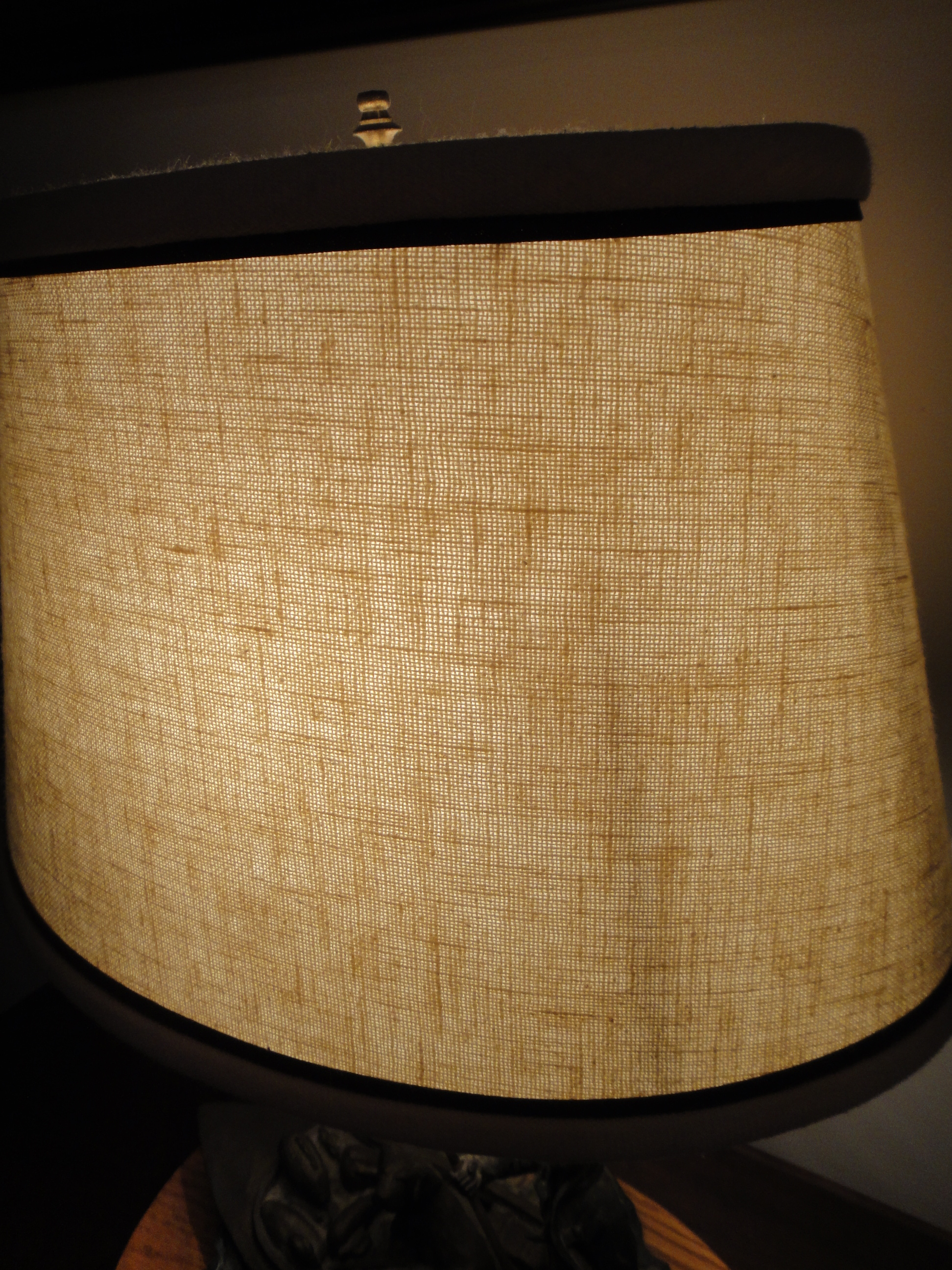 Ducks Unlimited Lamp EBTH