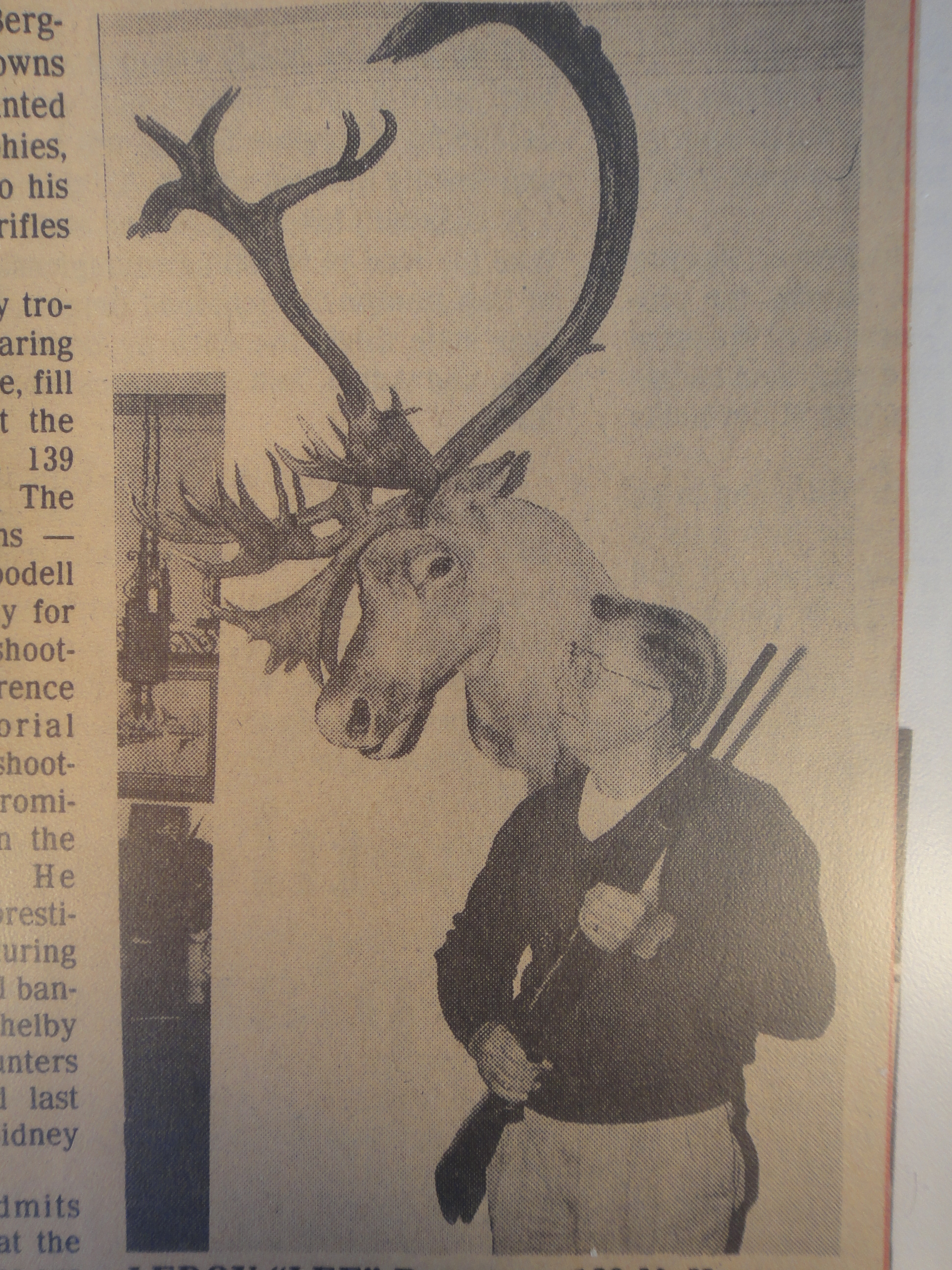 Beautiful Large Taxidermy Caribou Head Mount | EBTH