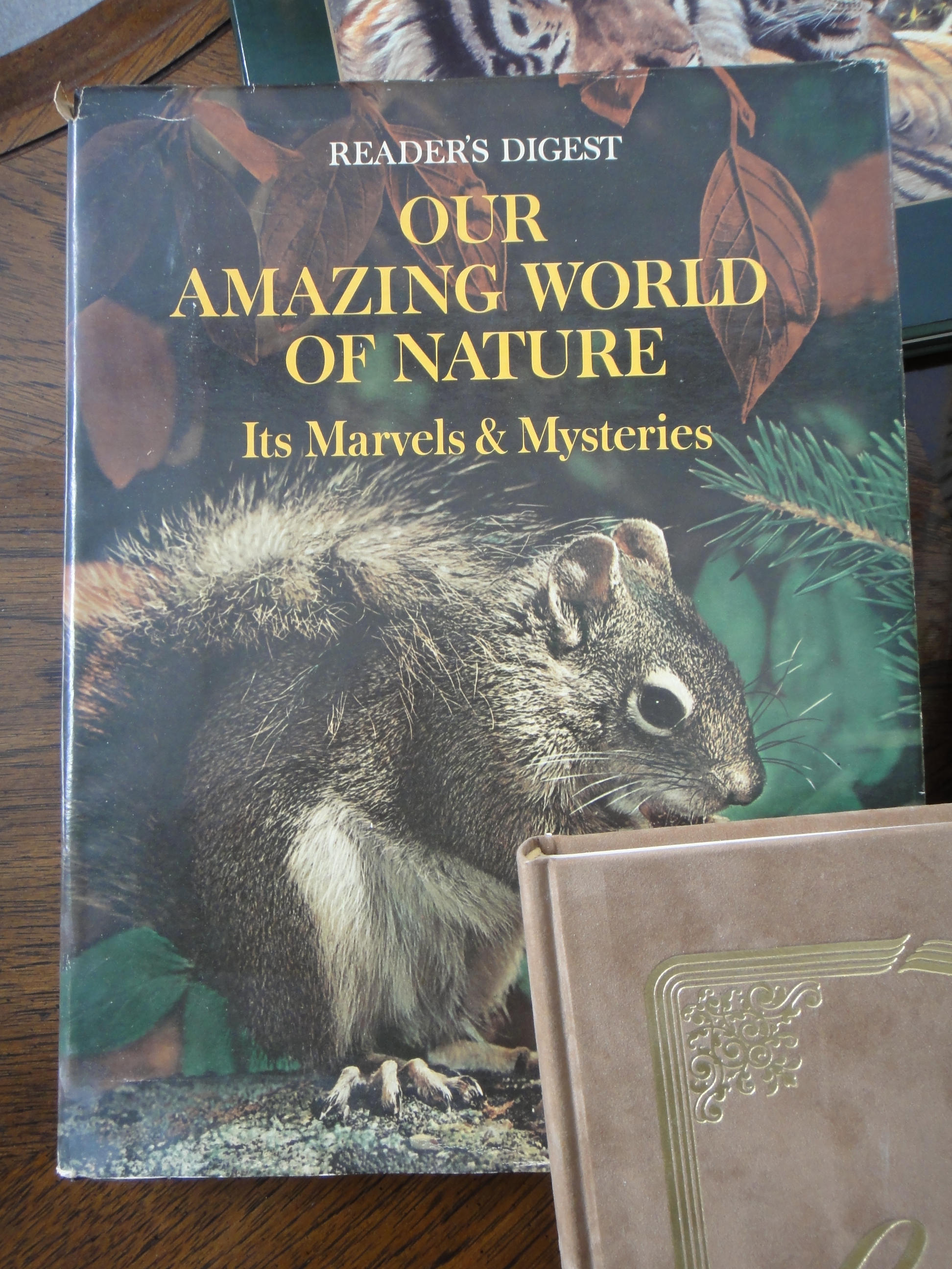 Seven Wonderful Wildlife Coffee Table Books EBTH