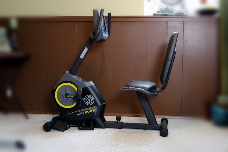 Gold S Gym Cycle Trainer 290 C Parts Exercise Bike