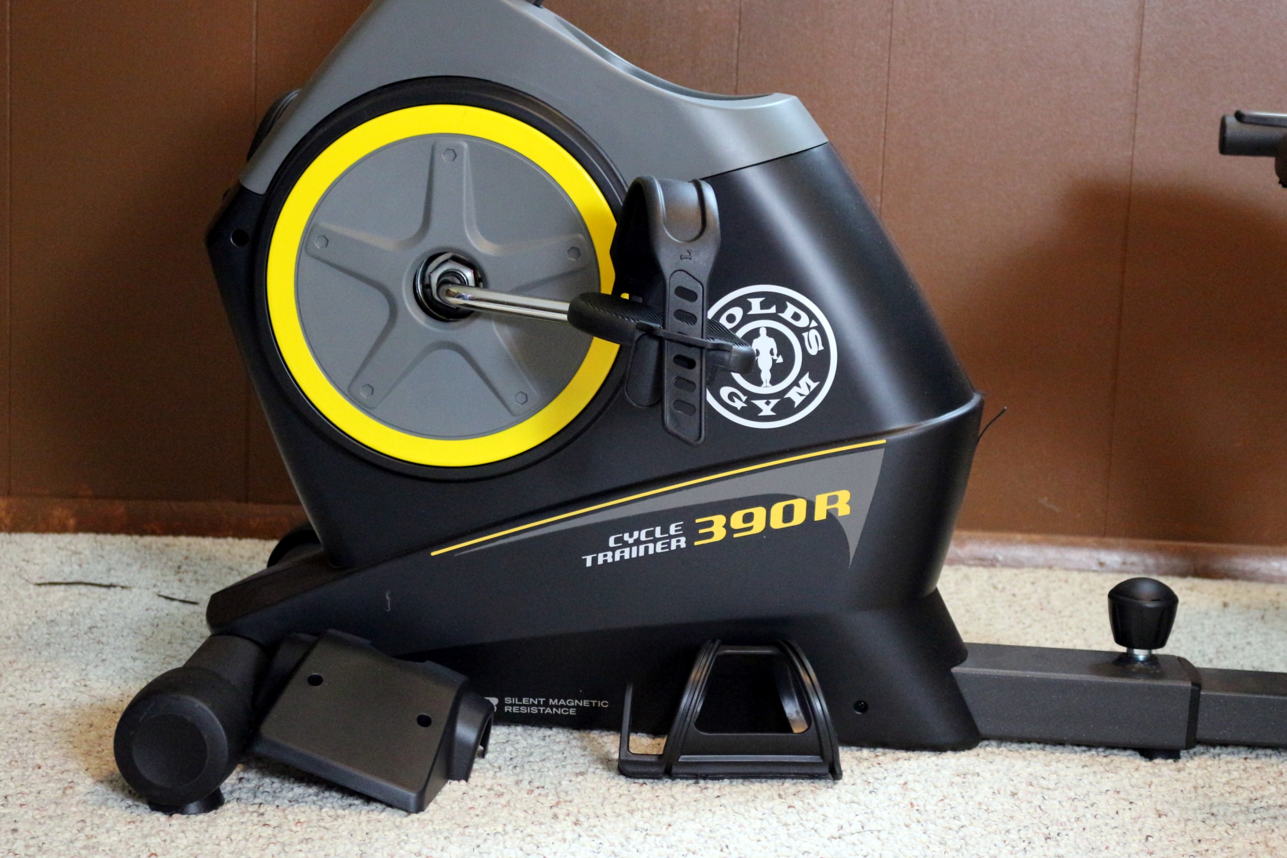 gold's gym bike 290c