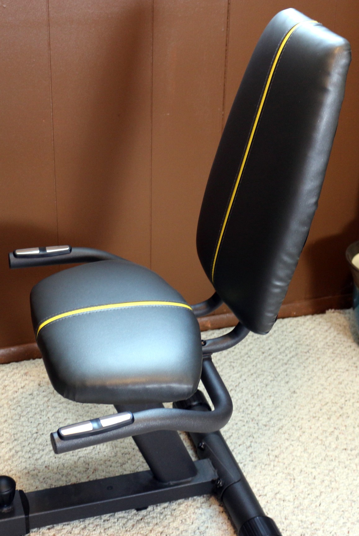 gold's gym 390r recumbent bike